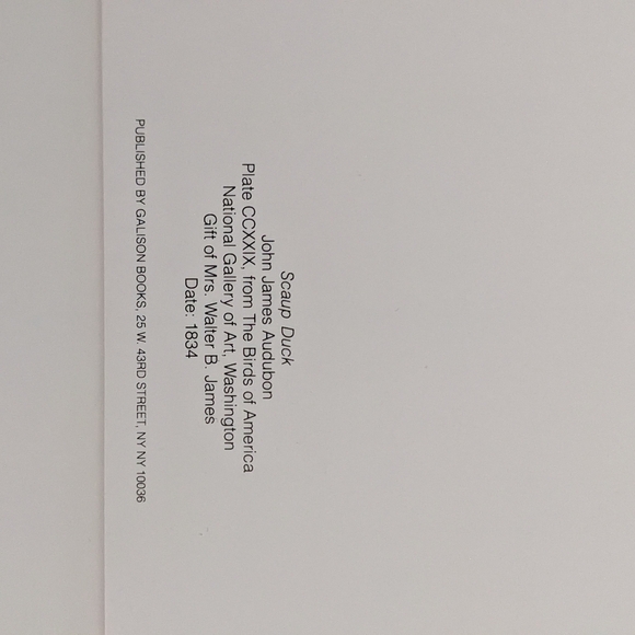 Audubon's Ducks Boxed Set Of Blank Note cards 5x7 Natl Gallery Of Art Set Of 14 - Picture 10 of 10